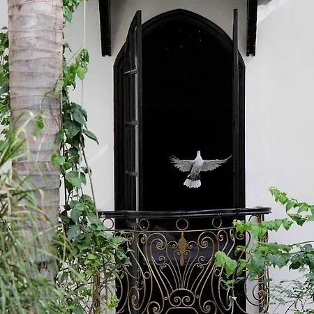 Riad Dar Jaguar Marrakesh Exterior photo